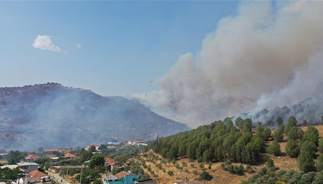 Aydın'da ziraat alanı yangını