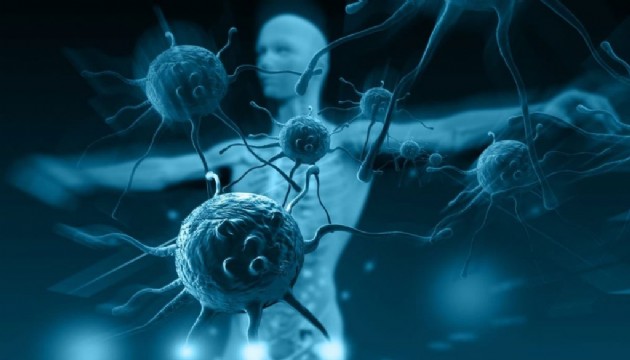 Bağışıklık sistemi damarları tıkıyor