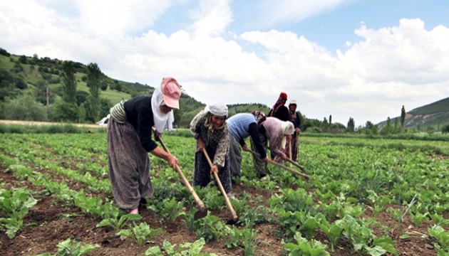 TZOB Başkanı'ndan kadın çiftçiler için 'yıpranma hakkı' talebi