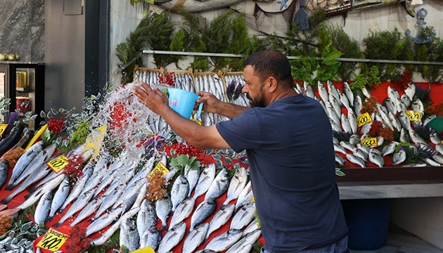 Balık sezonu açıldı, tezgahlar doldu