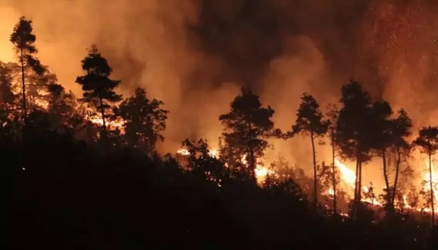 Suriye'deki yangın Türkiye'de