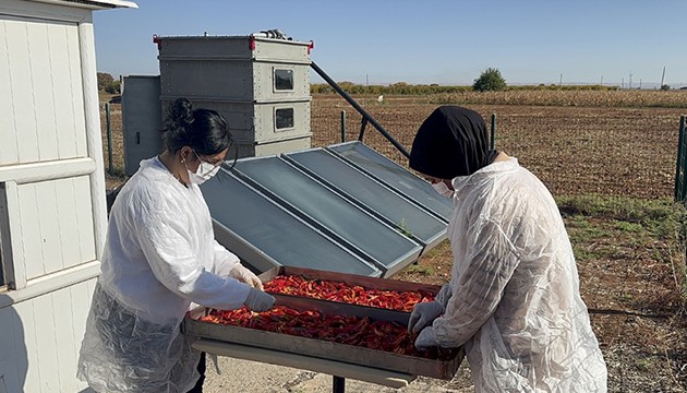 Üretimde güneş enerjili sistem