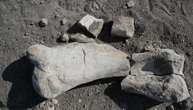 Bir keçi çobanı tesadüfen buldu, bilim dünyası harekete geçti!