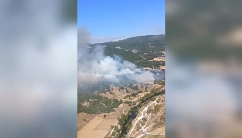 Balıkesir'de orman yangını