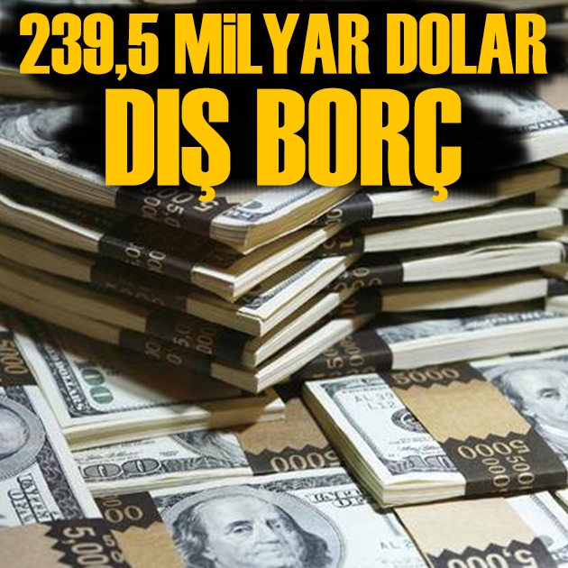Naki Bakır yazdı: Bir yılda 239,5 milyar dolar dış borç ödenecek