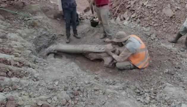 Brezilya’da dev dinozor türü keşfedildi