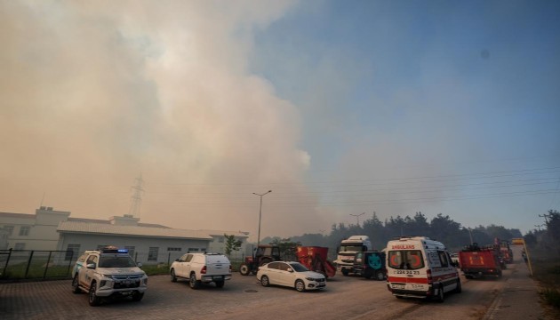 Bursa'da makilik alanda çıkan yangın ormana sıçradı