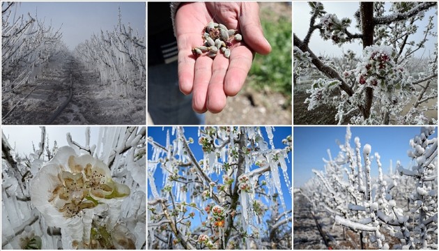 Zirai dondan etkilenen çiftçilere müjde