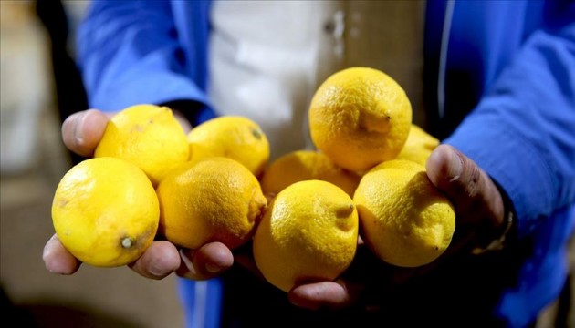 Fiyatlar limonun tadını kaçırdı