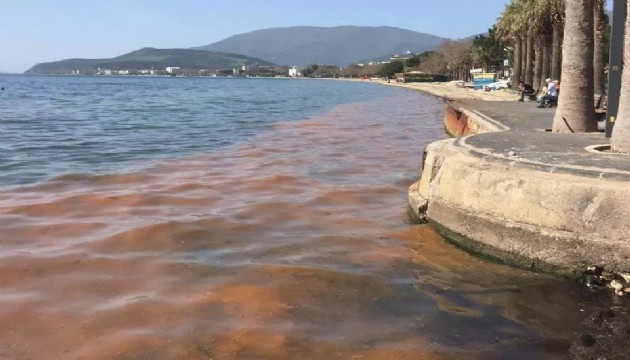 Marmara Denizi'nde alarm!