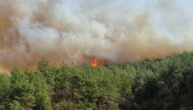 Muğla ve Çanakkale'de orman yangını