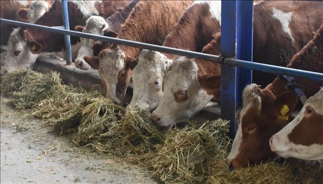 12 köyde karantina başladı