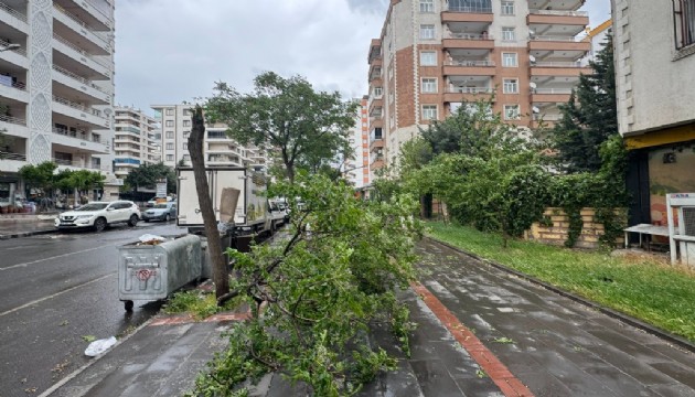 Diyarbakır'da fırtına hayatı felç etti!