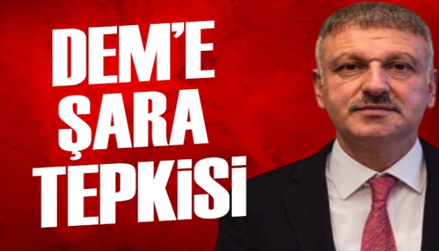 Cumhurbaşkanı Başdanışmanı Oktay Saral'dan DEM Parti'ye tepki