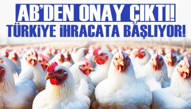 AB'den onay çıktı! Türkiye ihracata başlıyor