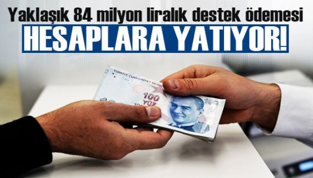 Yaklaşık 84 milyon liralık destek ödemesi çiftçilerin hesaplarına yatıyor