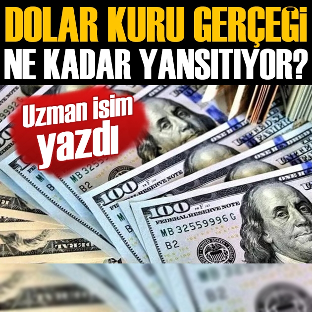 Mahfi Eğilmez yazdı: Dolar kuru gerçeği ne kadar yansıtıyor?