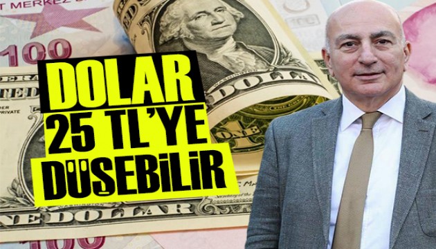 Mahfi Eğilmez: Dolar 25 TL'ye düşebilir