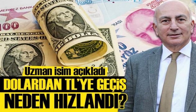 Deneyimli iktisatçı Eğilmez yazdı: Dolardan TL'ye geçiş neden hızlandı?