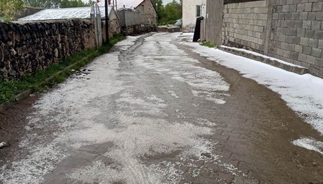 Ağrı ve Kars'ta sağanak yaşamı olumsuz etkiledi