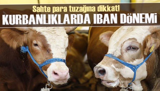 Sahte para tuzağına dikkat! Kurbanlıklarda IBAN dönemi