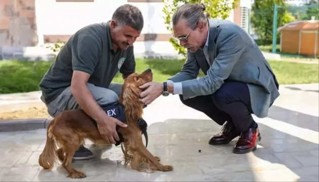 Erdal Beşikçioğlu, eğitimleri tamamlanan 5 sokak köpeğini belediye bünyesine aldı