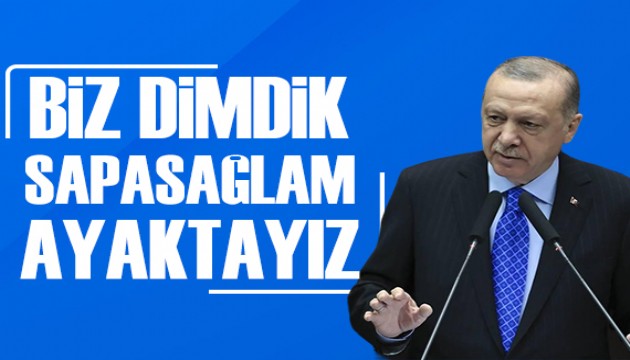 Cumhurbaşkanı Erdoğan: Biz dimdik, sapasağlam ayaktayız