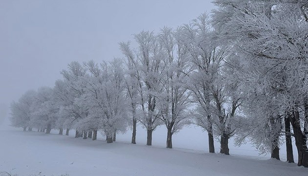 Türkiye'nin en soğuk ili: Eksi 17 derece