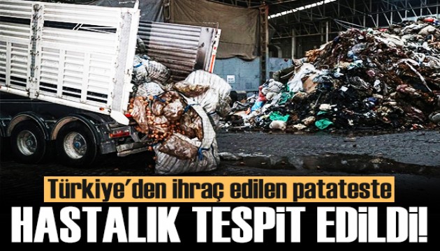 Türkiye'den ihraç edilen patateste hastalık tespit edildi!