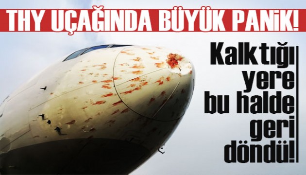 THY uçağında büyük panik! Kalktığı yere geri döndü