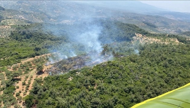 İki ilde peş peşe korkutan yangın!