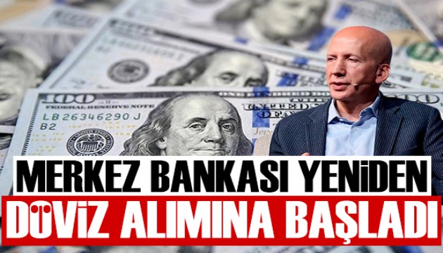 Prof. Dr. Hakan Kara açıkladı: Merkez Bankası yeniden döviz alımına başladı