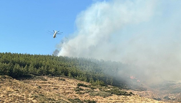 Hatay’da orman yangını