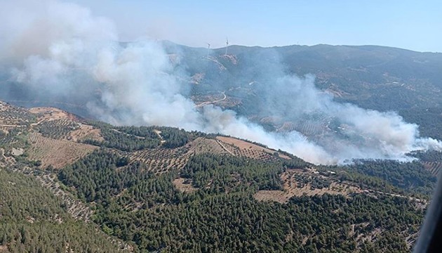 Hatay'da orman yangını