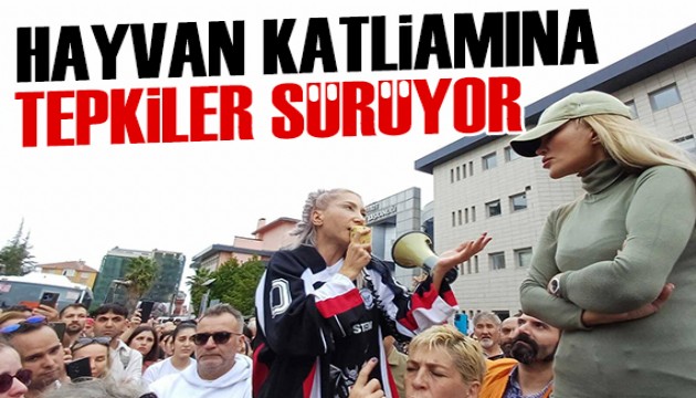 Gebze'deki hayvan katliamına tepkiler büyüyor