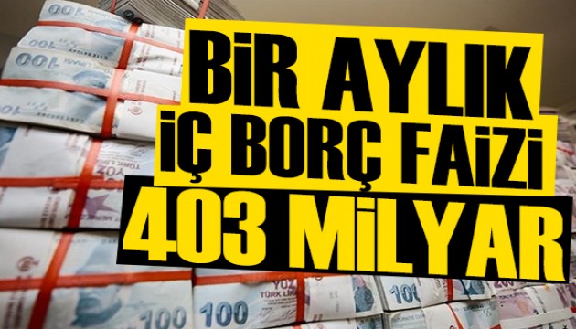 Alaattin Aktaş yazdı: Bir ayda ödenecek iç borç faizi 403 milyar lira