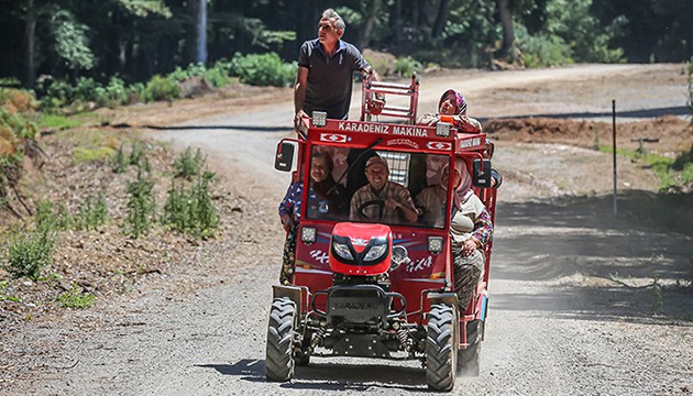 Ihlamurdaki verim yüzleri güldürdü