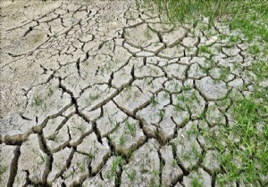 Dünya Sağlık Örgütü'nden İklim uyarısı