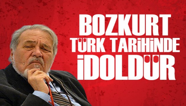 İlber Ortaylı'dan 'Bozkurt' açıklaması: Bir milletin sembolüdür