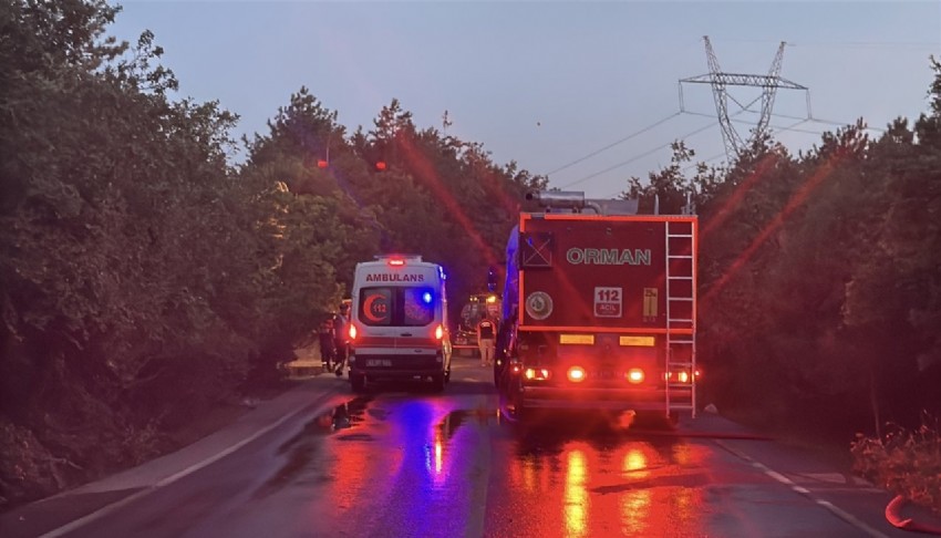Kocaeli'de orman yangını: Validen açıklama geldi