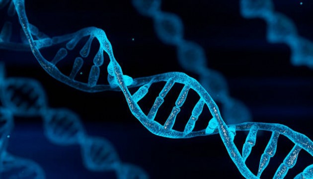 DNA ile ilgili şaşırtan keşif!