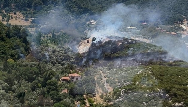 İzmir'de orman yangını