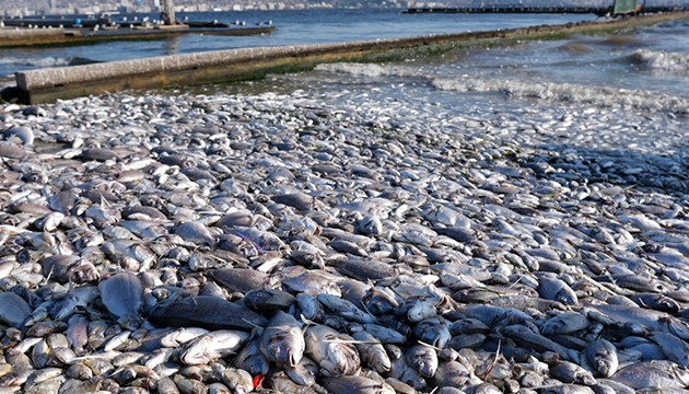 İzmir Körfezi için acil eylem planı hazırlandı