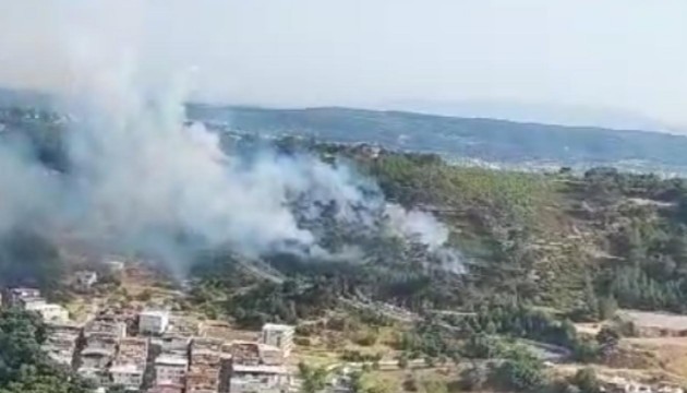 İzmir'de orman yangını