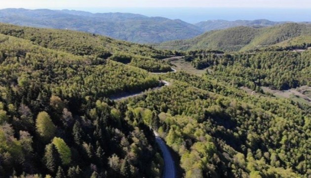 İzmir'de bazı alanlar orman sınırları dışına çıkartıldı