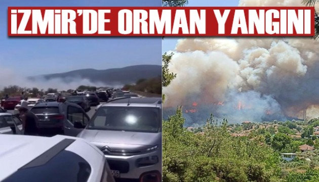 İzmir'de orman yangını: Alevler yerleşim yerlerine sıçradı