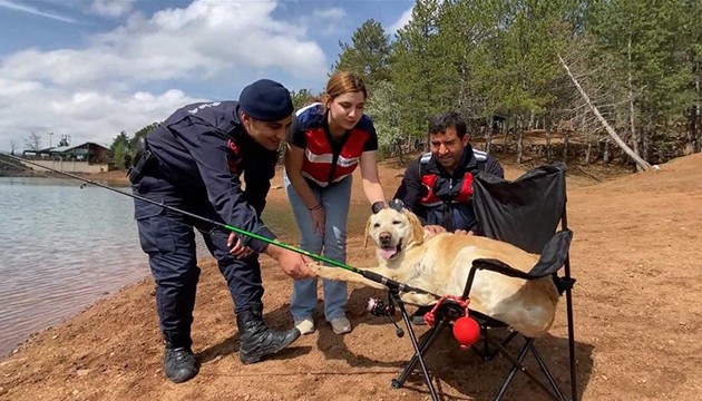 Jandarma iz köpeği emekli oldu