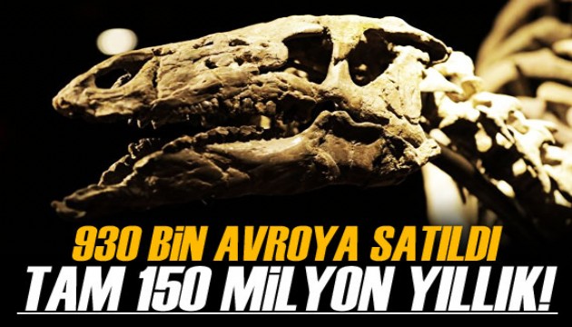 Paris'te 150 milyon yıllık dinozor iskeleti açık artırmayla 930 bin avroya satıldı