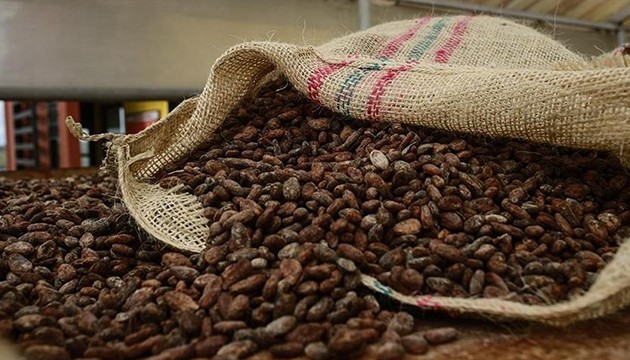 Kakaodan 1,7 milyar dolar