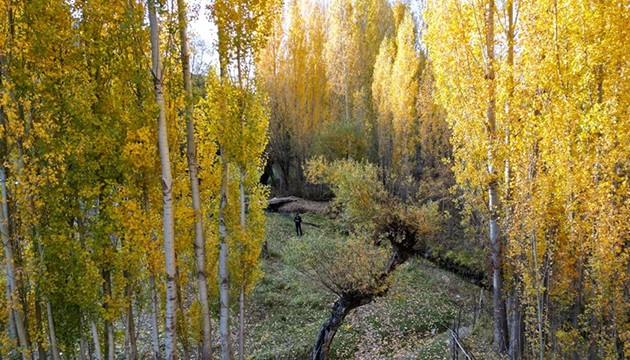 Bitlis'in doğasında renk cümbüşü